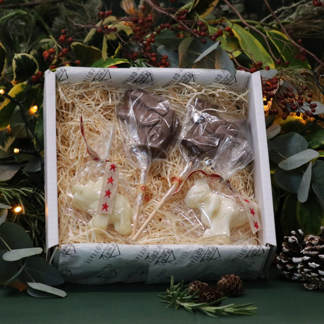 Dinosaur Friends Christmas Gift Box