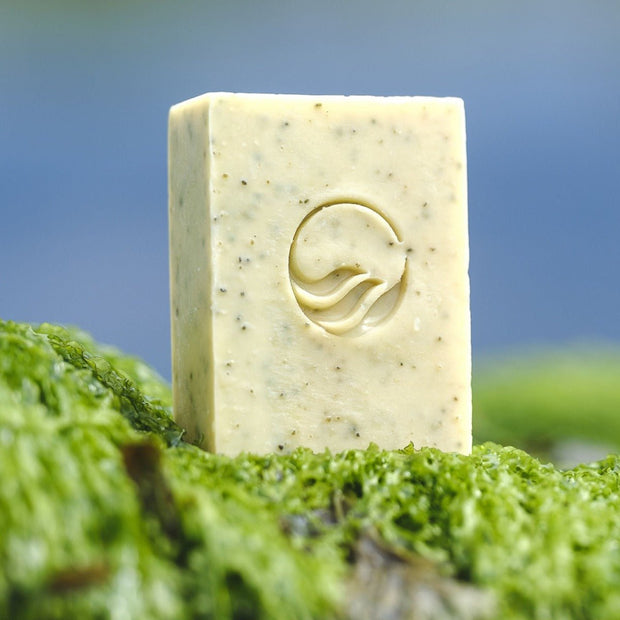Large 'Seagrown' Kelp - Infused Soap with Essential Oil Blend Fragrance - Cosy Cottage Soap