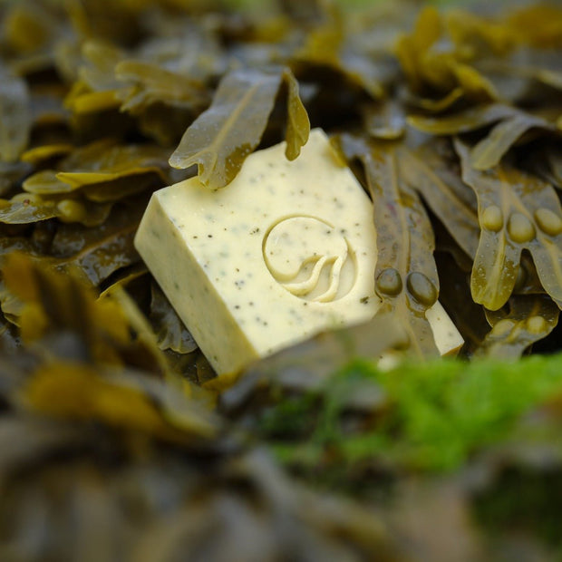 Large 'Seagrown' Kelp - Infused Soap with Essential Oil Blend Fragrance - Cosy Cottage Soap